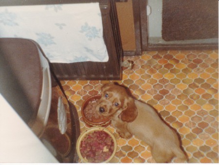 Wat was hij nog klein