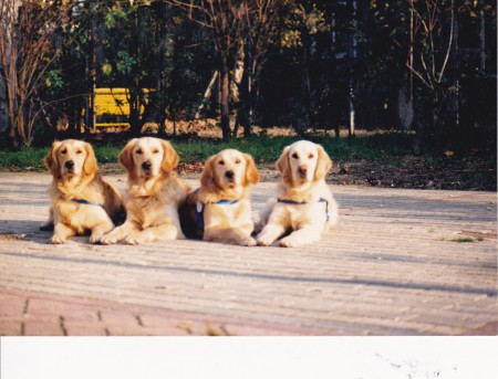 Samen met broers en zussen