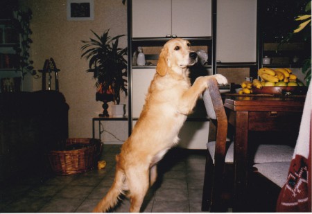 Het commando ''UP'' oefenen