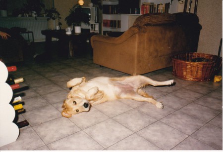 Het commando "ROLL OVER"