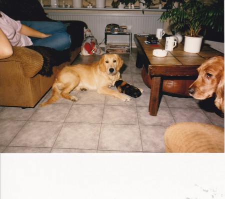 Het commando "DONT TOUCH"